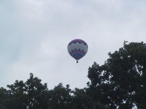 IMG_1005