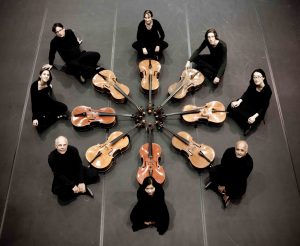 O-Celli-HD (1)
