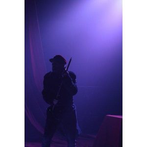 fleur au fusil 2