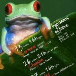 Affiche résonances 2013 tarif 3 concerts
