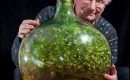 INSOLITE / Un jardin en bouteille depuis 1972 INSOLITE / Un jardin en bouteille depuis 1972