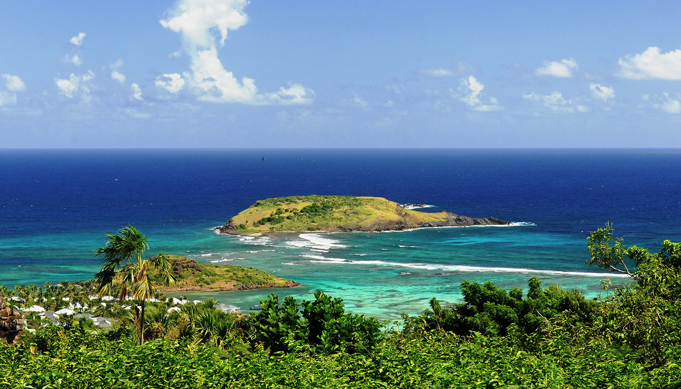 A St Barth, l'île orchidée | Magcentre