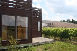Une chambre d'hôte et une salle de reception dans les vignes.