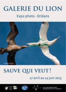 sauve qui veut pierre gleizes