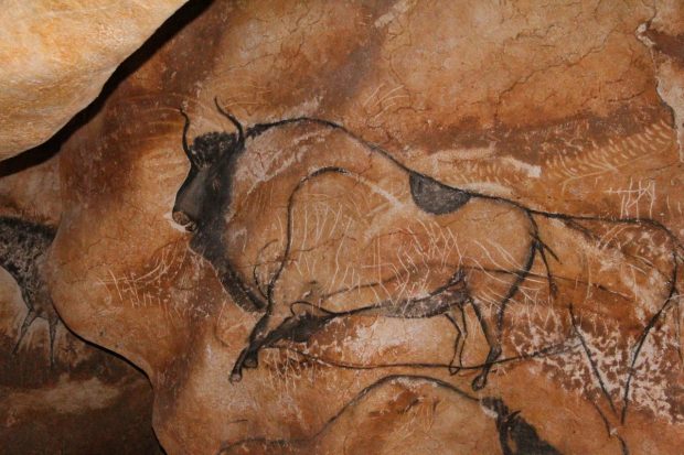 Représentation de bison
