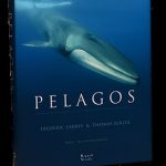 couv_pelagos_9991