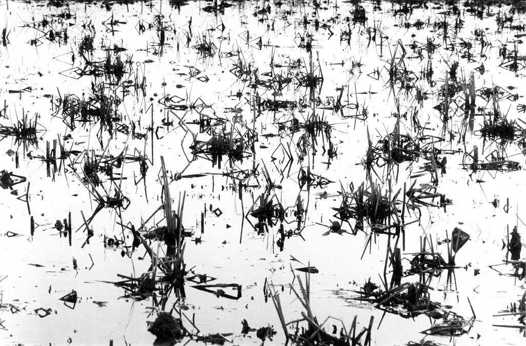 rencontres internationales de la photographie photographic festival