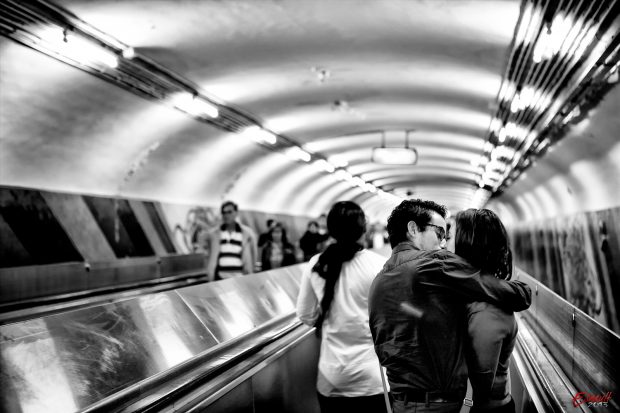_MG_8679 (2)