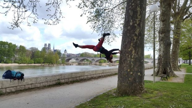 Dans les arbres7