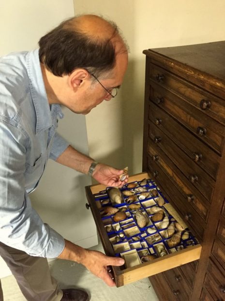 MOBE_NLLE_COLLEC_COQUILLAGES_EB_02