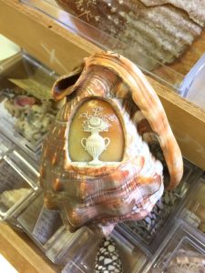 MOBE_NLLE_COLLEC_COQUILLAGES_EB_06