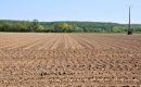 Loir-et-Cher : un vœu des élus pour sauver l’agriculture de Sologne Loir-et-Cher : un vœu des élus pour sauver l’agriculture de Sologne