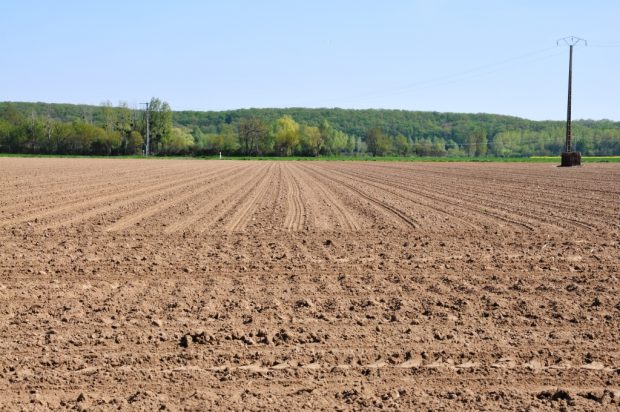 Terre agricole
