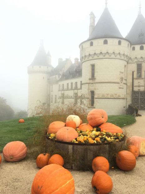 chaumont sur Loire automne-2