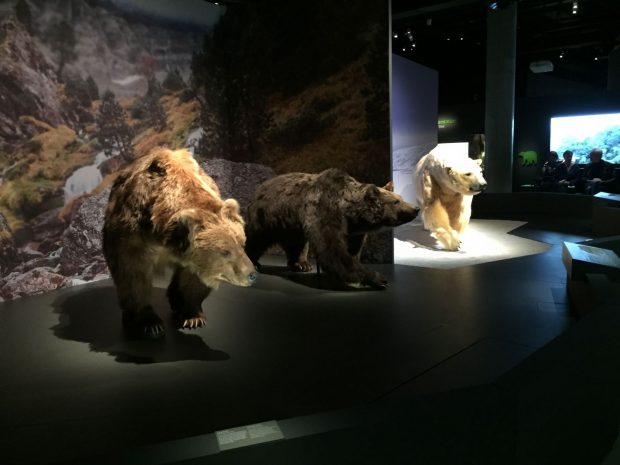 expo_ours_mnhn_eb_01