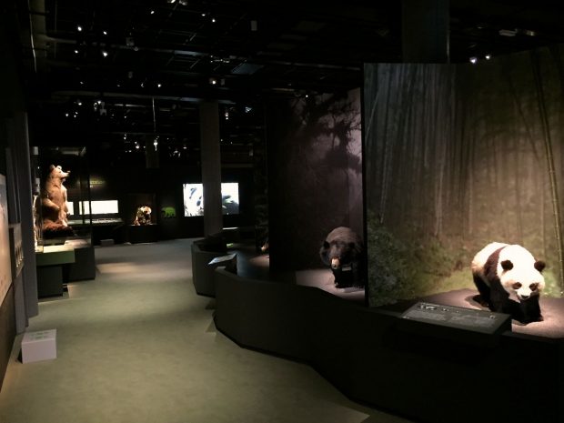 expo_ours_mnhn_eb_02