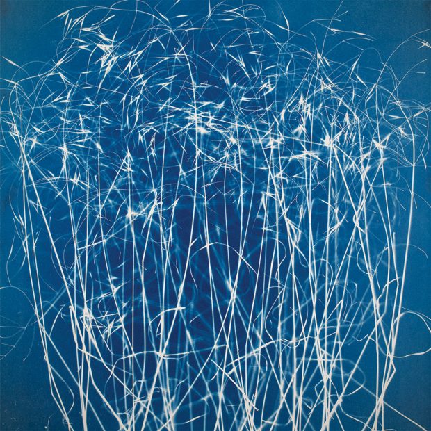 Cyanotype Josef Nadj