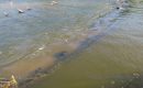 Une épave du XVIIIe siècle retrouvée en Loire Une épave du XVIIIe siècle retrouvée en Loire