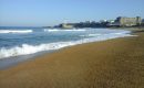 Biarritz, piment doux de l’hiver Biarritz, piment doux de l’hiver
