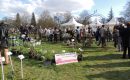 Cheverny : des plantes chez Tintin ! Cheverny : des plantes chez Tintin !