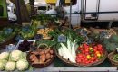 Orléans : Salon Gastronomie et Vins : un festival de saveurs… et de pédagogies Orléans : Salon Gastronomie et Vins : un festival de saveurs… et de pédagogies