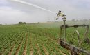 Loir-et-Cher : la sécheresse continue, les restrictions d’eau aussi Loir-et-Cher : la sécheresse continue, les restrictions d’eau aussi