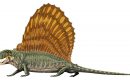Alarme sur le déclin de la biodiversité Alarme sur le déclin de la biodiversité