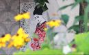 Gil KD, une artiste de la rue Gil KD, une artiste de la rue