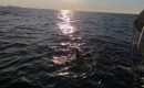 Loir-et-Cher : Ludo le fou, un homme à la mer Loir-et-Cher : Ludo le fou, un homme à la mer