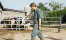 Petit paysan : un premier film vachement bien Petit paysan : un premier film vachement bien