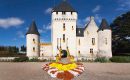 Château du Rivau : un festival des fleurs d’automne autour des marguerites Château du Rivau : un festival des fleurs d’automne autour des marguerites