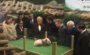 Beauval : et le petit panda s’appelle… Yuan Meng! Beauval : et le petit panda s’appelle… Yuan Meng!