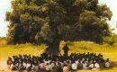L’ARBRE À PALABRES DU BIM L’ARBRE À PALABRES DU BIM