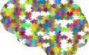 A Tours, découverte d’un gène lié aux déficiences intellectuelles et à l’autisme A Tours, découverte d’un gène lié aux déficiences intellectuelles et à l’autisme