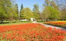 Cheverny : Mille sabords ! 120.000 tulipes ! 120.000 sourires… Cheverny : Mille sabords ! 120.000 tulipes ! 120.000 sourires…