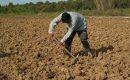 Retraites agricoles : la hausse n’est pas pour tout de suite Retraites agricoles : la hausse n’est pas pour tout de suite