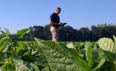LoRa®, le réseau numérique d’Orange adapté aux agriculteurs LoRa®, le réseau numérique d’Orange adapté aux agriculteurs
