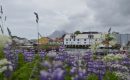 Elle filme les îles Lofoten Elle filme les îles Lofoten