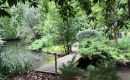 La Route des jardins du Loiret: l’Ilex, un jardin qui ne manque pas de piquant La Route des jardins du Loiret: l’Ilex, un jardin qui ne manque pas de piquant