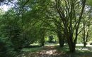 La Route des jardins du Loiret: dernière saison pour l’Arboretum des Barres La Route des jardins du Loiret: dernière saison pour l’Arboretum des Barres