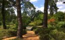 La Route des Jardins du Loiret : l’Arboretum des Grandes Bruyères, d’arbres en continents La Route des Jardins du Loiret : l’Arboretum des Grandes Bruyères, d’arbres en continents