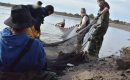 Indre : pêche d’étangs, rituel de la Brenne Indre : pêche d’étangs, rituel de la Brenne