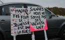 Les réseaux sociaux, poison de la démocratie et terreau du populisme Les réseaux sociaux, poison de la démocratie et terreau du populisme