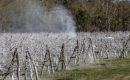 Les bonnes poires de consommateurs Les bonnes poires de consommateurs