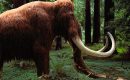 Exclusif: découverte exceptionnelle d’un squelette de mammouth en forêt d’Orléans Exclusif: découverte exceptionnelle d’un squelette de mammouth en forêt d’Orléans