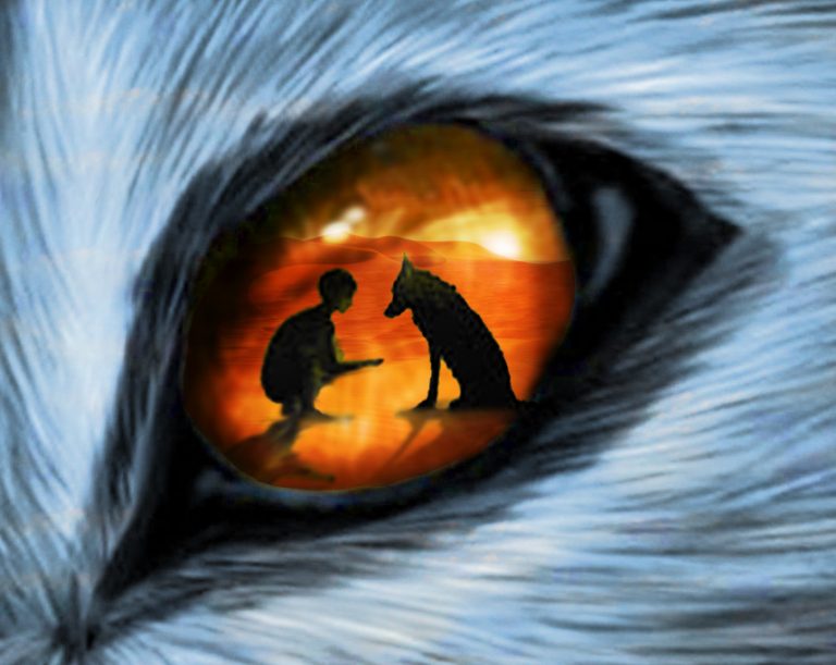 L Oeil Du Loup Questionnaire Corrigé “L’oeil du loup” | Magcentre