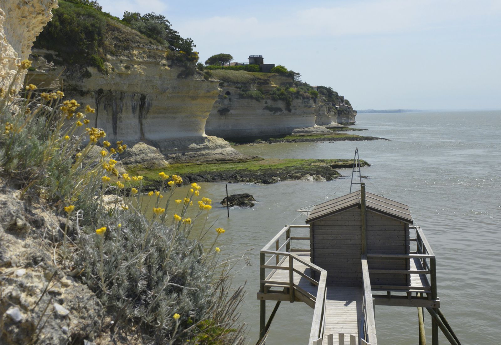 Charente-Maritime : escapades autour de la presqu’île d’Arvert… | Magcentre