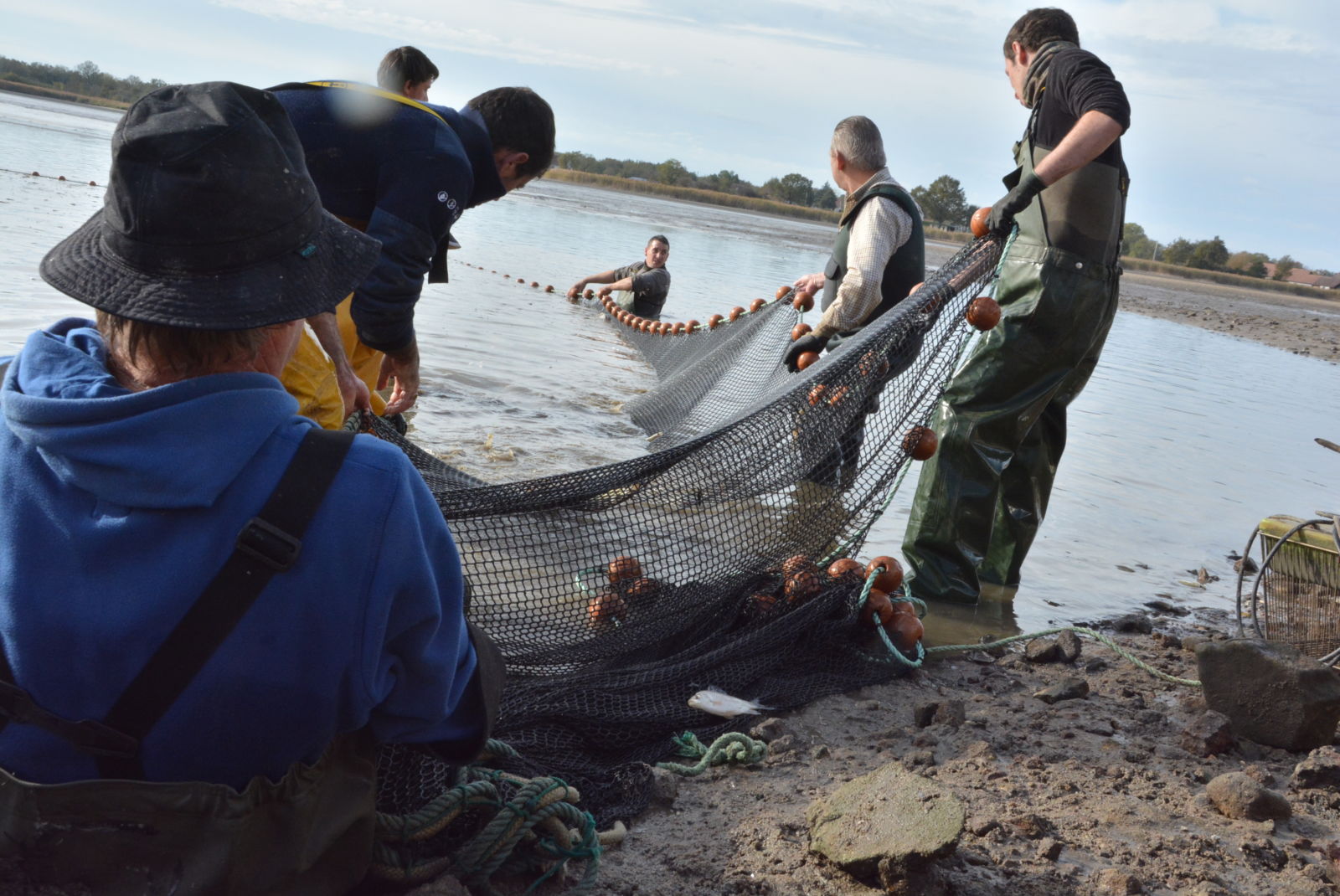 Calendrier Peche D étang En Brenne 2023 Indre : Pêche D'étangs, Rituel De La Brenne | Magcentre