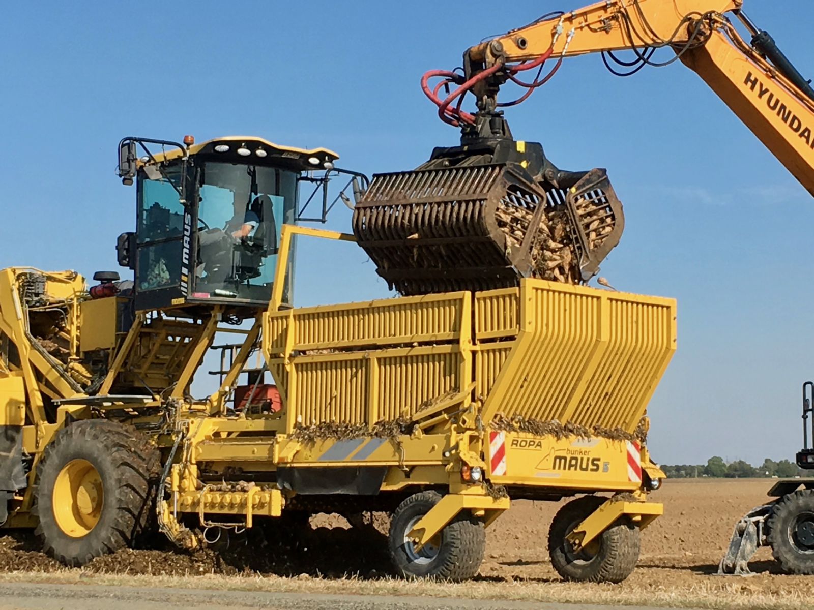 Un nouveau sucre issu de betteraves Haute Valeur Environnementale bientôt dans les rayons