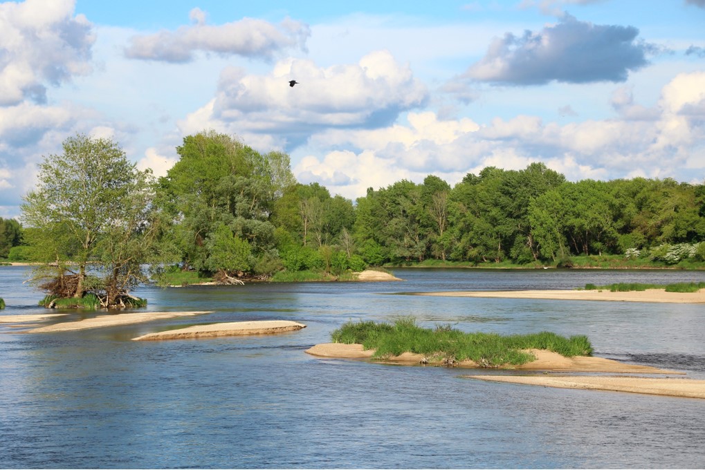 La Loire